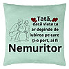 Perna Decorativa, Model pentru Tata 4, 40x40 cm, Verde Menta, Husa Detasabila, Burduf 22 Perna Decorativa