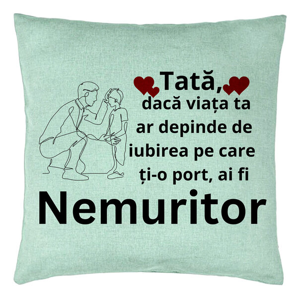 Perna Decorativa, Model pentru Tata 4, 40x40 cm, Verde Menta, Husa Detasabila, Burduf 15 Perna Decorativa