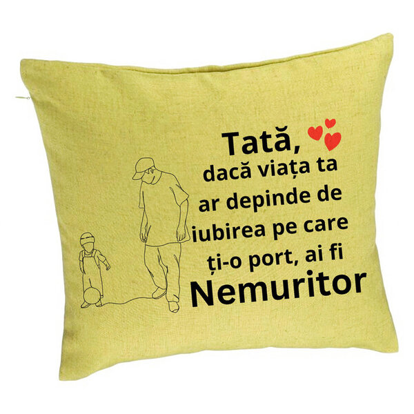 Perna Decorativa, Model pentru Tata 5, 40x40 cm, Verde, Husa Detasabila, Burduf 5 Perna Decorativa