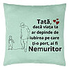 Perna Decorativa, Model pentru Tata 5, 40x40 cm, Verde Menta, Husa Detasabila, Burduf 22 Perna Decorativa