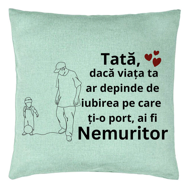 Perna Decorativa, Model pentru Tata 5, 40x40 cm, Verde Menta, Husa Detasabila, Burduf 15 Perna Decorativa