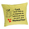 Perna Decorativa, Model pentru Tata 7, 40x40 cm, Verde, Husa Detasabila, Burduf 7 Perna Decorativa