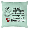 Perna Decorativa, Model pentru Tata 7, 40x40 cm, Verde Menta, Husa Detasabila, Burduf 22 Perna Decorativa