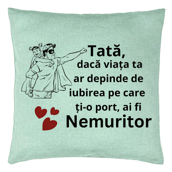 Perna Decorativa, Model pentru Tata 7, 40x40 cm, Verde Menta, Husa Detasabila, Burduf 15 Perna Decorativa
