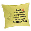 Perna Decorativa, Model pentru Tata 8, 40x40 cm, Verde, Husa Detasabila, Burduf 7 Perna Decorativa