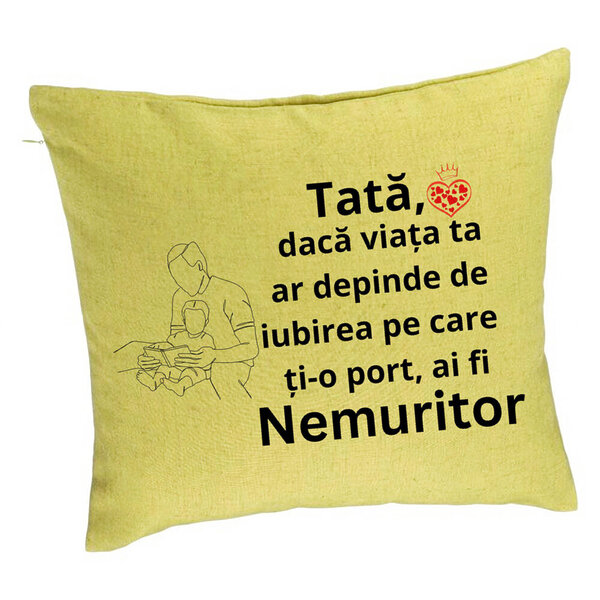Perna Decorativa, Model pentru Tata 8, 40x40 cm, Verde, Husa Detasabila, Burduf 5 Perna Decorativa