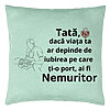 Perna Decorativa, Model pentru Tata 8, 40x40 cm, Verde Menta, Husa Detasabila, Burduf 22 Perna Decorativa