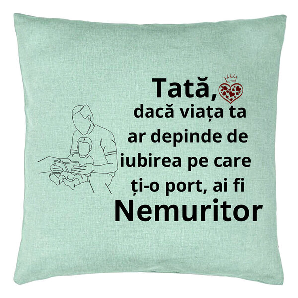 Perna Decorativa, Model pentru Tata 8, 40x40 cm, Verde Menta, Husa Detasabila, Burduf 15 Perna Decorativa