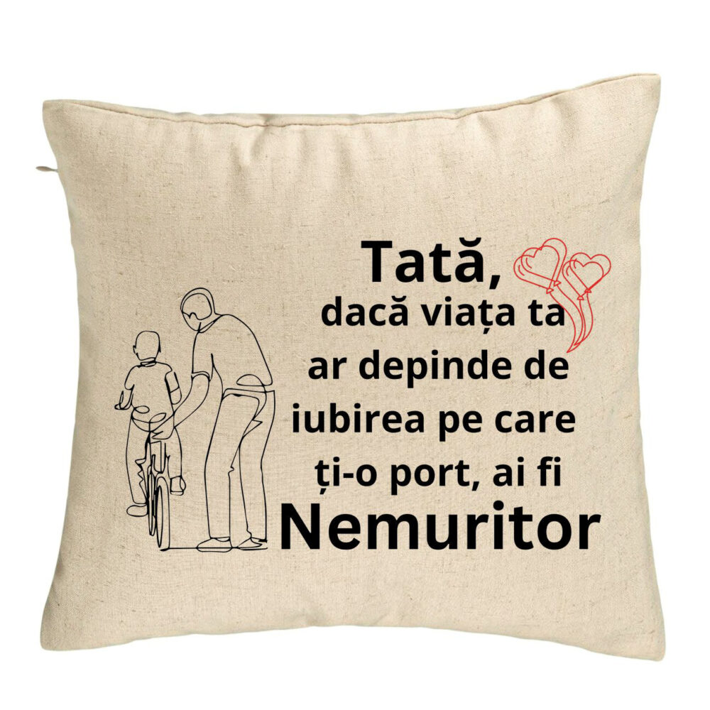 Perna Decorativa, Model pentru Tata 9, 40x40 cm, Bej, Husa Detasabila, Burduf 5 Perna Decorativa