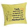 Perna Decorativa, Model pentru Tata 9, 40x40 cm, Verde, Husa Detasabila, Burduf 7 Perna Decorativa