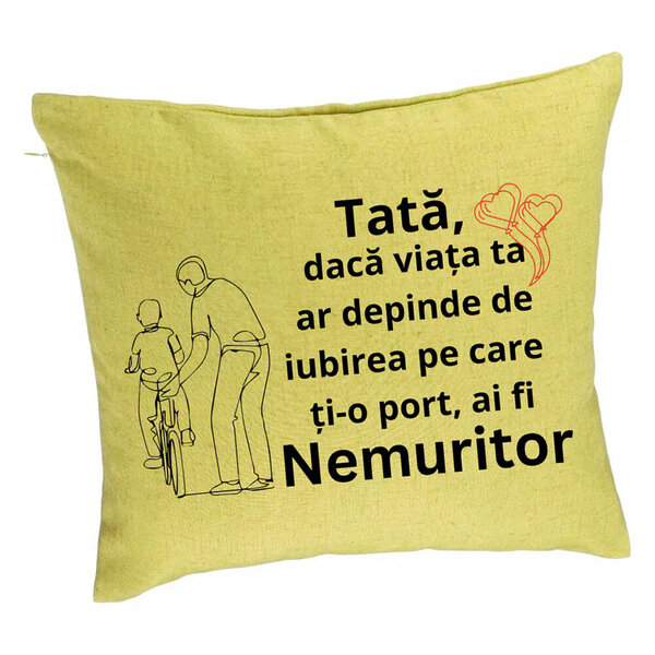Perna Decorativa, Model pentru Tata 9, 40x40 cm, Verde, Husa Detasabila, Burduf 5 Perna Decorativa
