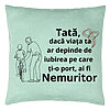 Perna Decorativa, Model pentru Tata 9, 40x40 cm, Verde Menta, Husa Detasabila, Burduf 22 Perna Decorativa