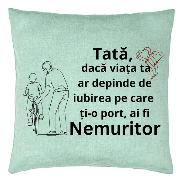 Perna Decorativa, Model pentru Tata 9, 40x40 cm, Verde Menta, Husa Detasabila, Burduf 15 Perna Decorativa
