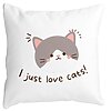 Perna Decorativa Patrata I Just Love Cats, 40x40 cm, Alba, Mata, Husa Detasabila, Burduf 16 Perna Decorativa Patrata I Just Love Cats