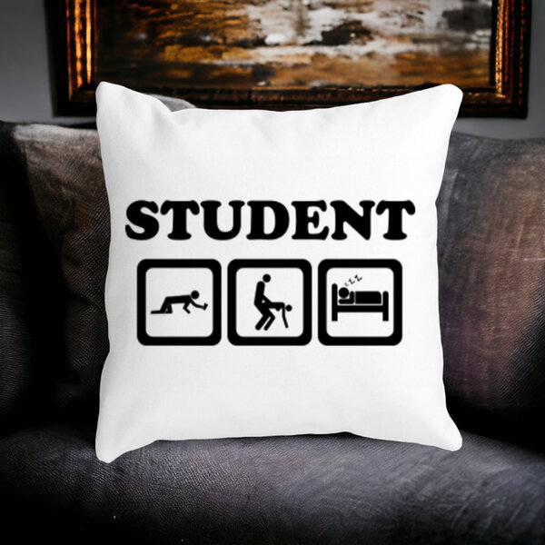 Perna Decorativa Patrata Student, 40x40 cm, Alba, Mata, Husa Detasabila, Burduf 14 40x40 cm