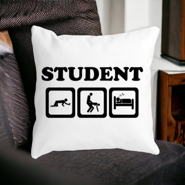 Perna Decorativa Patrata Student, 40x40 cm, Alba, Mata, Husa Detasabila, Burduf 16 Mata