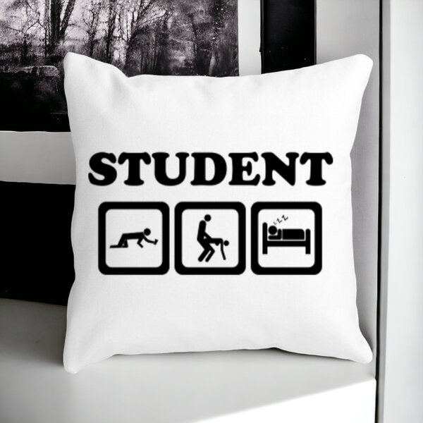Perna Decorativa Patrata Student, 40x40 cm, Alba, Mata, Husa Detasabila, Burduf 17 Husa Detasabila