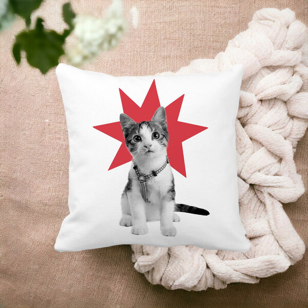Perna Decorativa Patrata Super Cat, 40x40 cm, Alba, Mata, Husa Detasabila, Burduf 14 Mata
