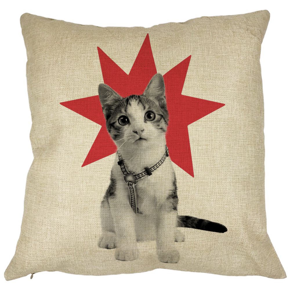 Perna Decorativa Patrata Super Cat, 40x40 cm, Husa Detasabila, Burduf 7 Perna Decorativa Patrata Super Cat