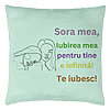 Perna Decorativa Sora mea 6, 40x40 cm, Verde Menta, Husa Detasabila, Burduf 7 Perna Decorativa Sora mea 6