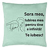 Perna Decorativa Sora mea 7, 40x40 cm, Verde Menta, Husa Detasabila, Burduf 7 Perna Decorativa Sora mea 7
