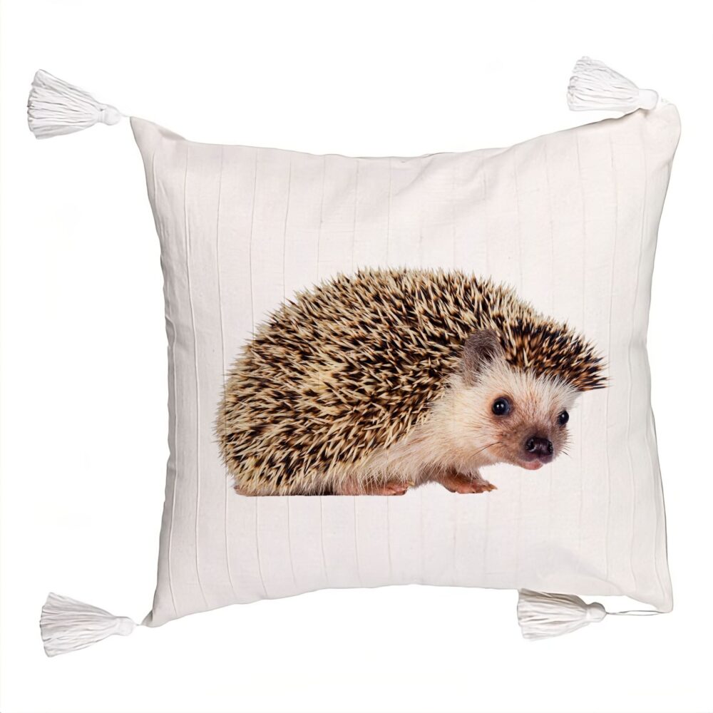 Perna Decorativa cu Franjuri, Model Arici, 45x45 cm, Ecru, Cu fermoar 5 Perna Decorativa cu Franjuri