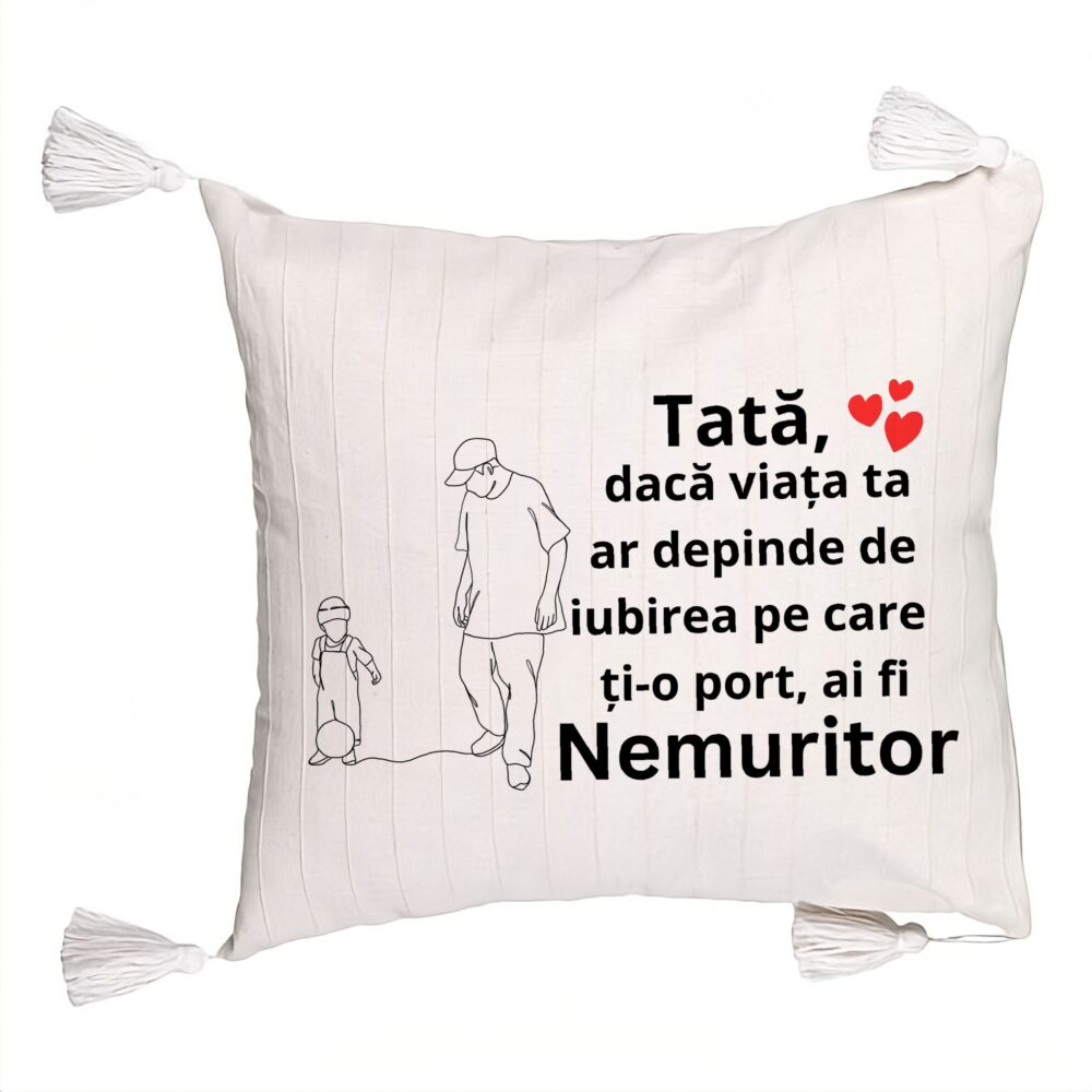 Perna Decorativa cu Franjuri, Model pentru Tata 5, 45x45 cm, Ecru, Cu fermoar 5 Perna Decorativa cu Franjuri