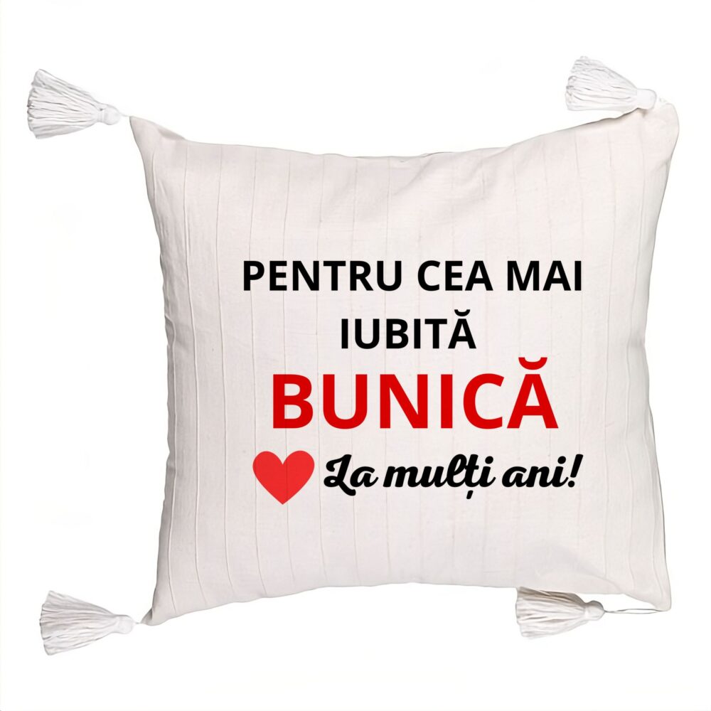 Perna Decorativa cu Franjuri pentru Bunica 16, 45x45 cm, Cu fermoar 5 Perna Decorativa cu Franjuri pentru Bunica 16