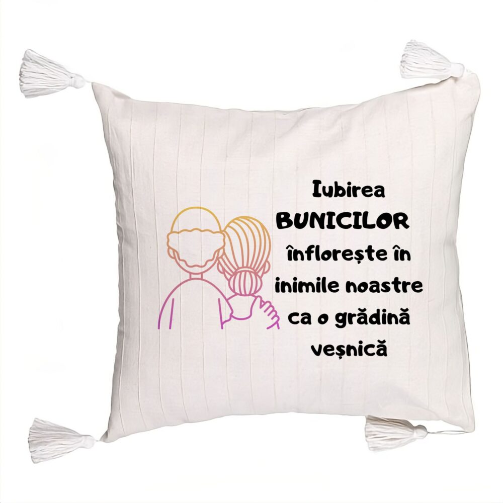Perna Decorativa cu Franjuri pentru Bunici 10, 45x45 cm, Cu fermoar 5 Perna Decorativa cu Franjuri pentru Bunici 10