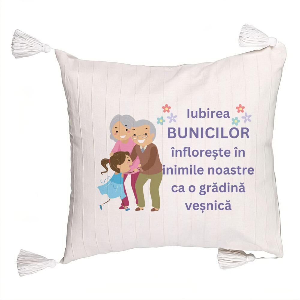 Perna Decorativa cu Franjuri pentru Bunici 2, 45x45 cm, Cu fermoar 5 Perna Decorativa cu Franjuri pentru Bunici 2