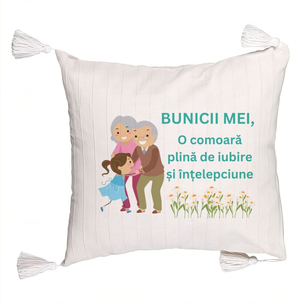 Perna Decorativa cu Franjuri pentru Bunici 3, 45x45 cm, Cu fermoar 5 Perna Decorativa cu Franjuri pentru Bunici 3