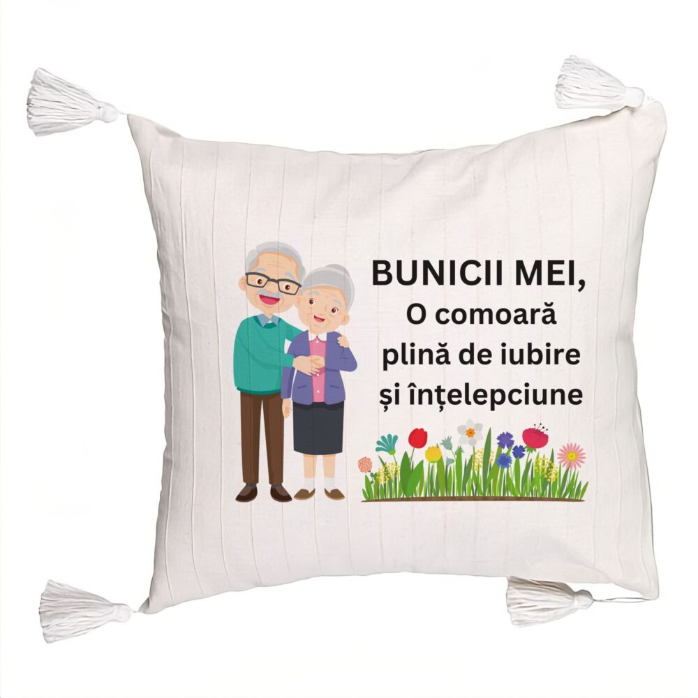 Perna Decorativa cu Franjuri pentru Bunici 4, 45x45 cm, Cu fermoar 5 Perna Decorativa cu Franjuri pentru Bunici 4