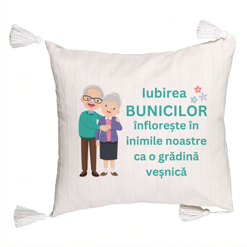 Perna Decorativa cu Franjuri pentru Bunici 5, 45x45 cm, Cu fermoar 5 Perna Decorativa cu Franjuri pentru Bunici 5