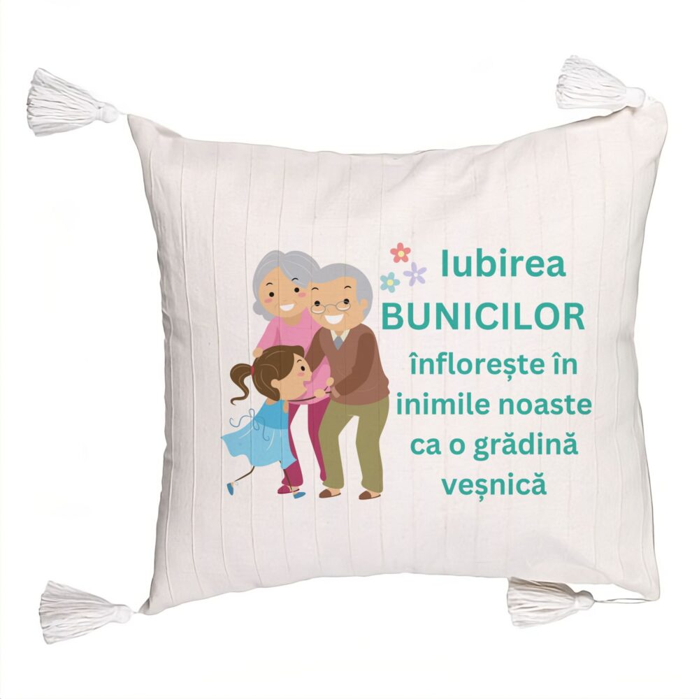 Perna Decorativa cu Franjuri pentru Bunici 6, 45x45 cm, Cu fermoar 5 Perna Decorativa cu Franjuri pentru Bunici 6