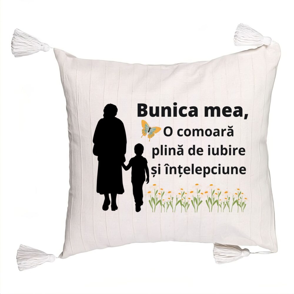 Perna Decorativa cu Franjuri pentru Bunicul 19, 45x45 cm, Cu fermoar 5 Perna Decorativa cu Franjuri pentru Bunicul 19