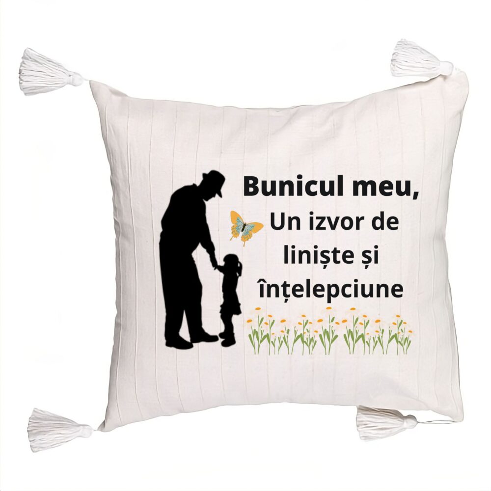 Perna Decorativa cu Franjuri pentru Bunicul 5, 45x45 cm, Cu fermoar 5 Perna Decorativa cu Franjuri pentru Bunicul 5