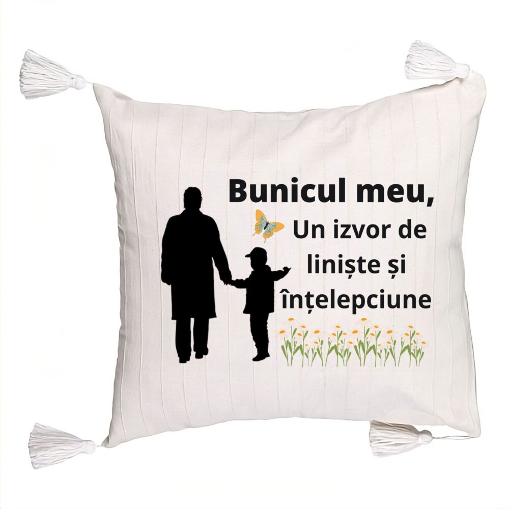 Perna Decorativa cu Franjuri pentru Bunicul 6, 45x45 cm, Cu fermoar 5 Perna Decorativa cu Franjuri pentru Bunicul 6