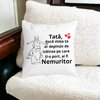 Perna Decorativa cu Text pentru Tata 6,40x40 cm, Alba, Mata, Husa Detasabila, Burduf 17 40x40 cm