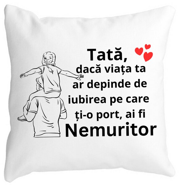 Perna Decorativa cu Text pentru Tata 6,40x40 cm, Alba, Mata, Husa Detasabila, Burduf 11 Perna Decorativa cu Text pentru Tata 6