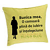 Perna Decorativa pentru Bunica 17, 40x40 cm, Verde, Husa Detasabila, Burduf 7 Perna Decorativa pentru Bunica 17
