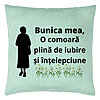 Perna Decorativa pentru Bunica 17, 40x40 cm, Verde Menta, Husa Detasabila, Burduf 7 Perna Decorativa pentru Bunica 17