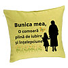 Perna Decorativa pentru Bunica 18, 40x40 cm, Verde, Husa Detasabila, Burduf 7 Perna Decorativa pentru Bunica 18