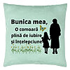 Perna Decorativa pentru Bunica 18, 40x40 cm, Verde Menta, Husa Detasabila, Burduf 7 Perna Decorativa pentru Bunica 18