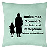 Perna Decorativa pentru Bunica 8, 40x40 cm, Verde Menta, Husa Detasabila, Burduf 7 Perna Decorativa pentru Bunica 8