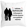 Perna Decorativa pentru Bunici 1, 40x40 cm, Alba, Mata, Husa Detasabila, Burduf 4 Perna Decorativa pentru Bunici 1