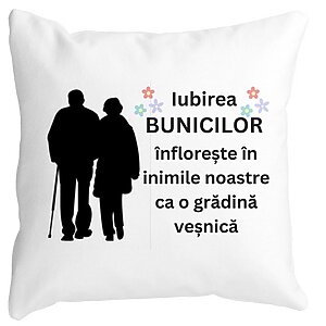Perna Decorativa pentru Bunici 1