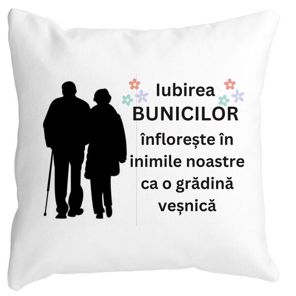 Perna Decorativa pentru Bunici 1, 40x40 cm, Alba, Mata, Husa Detasabila, Burduf 3 Perna Decorativa pentru Bunici 1