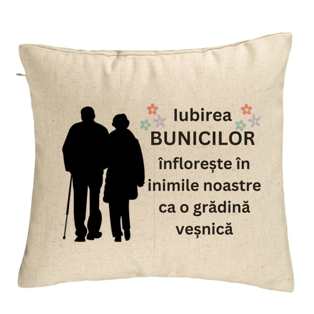 Perna Decorativa pentru Bunici 1, 40x40 cm, Bej, Husa Detasabila, Burduf 5 Perna Decorativa pentru Bunici 1