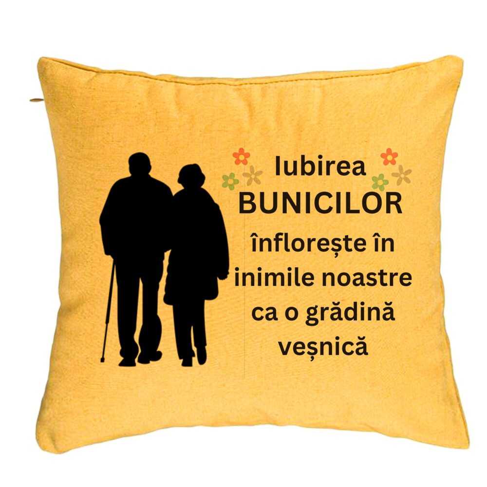 Perna Decorativa pentru Bunici 1, 40x40 cm, Galben, Husa Detasabila, Burduf 5 Perna Decorativa pentru Bunici 1