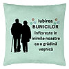 Perna Decorativa pentru Bunici 1, 40x40 cm, Verde Menta, Husa Detasabila, Burduf 7 Perna Decorativa pentru Bunici 1